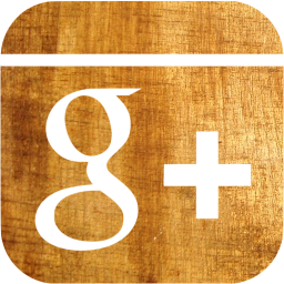 google plus 6 icon