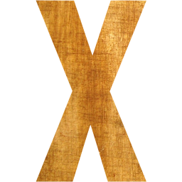 letter x icon