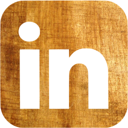 linkedin 6 icon