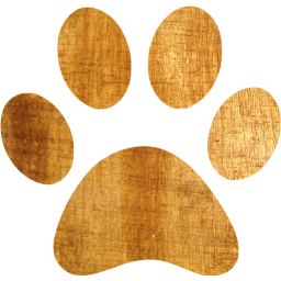 paw icon