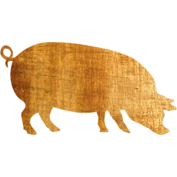 pig 4 icon