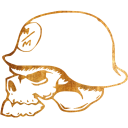 skull 14 icon