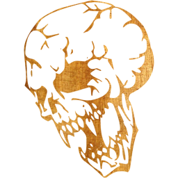 skull 16 icon