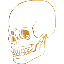 skull 38 icon