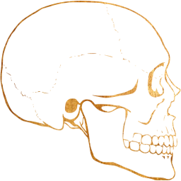 skull 62 icon