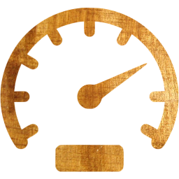 speedometer icon