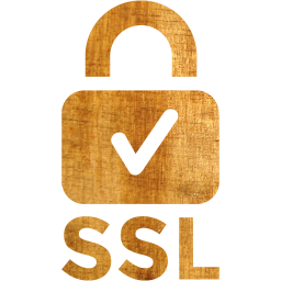 ssl badge 2 icon