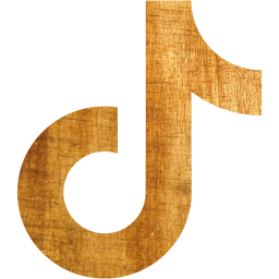 tiktok icon