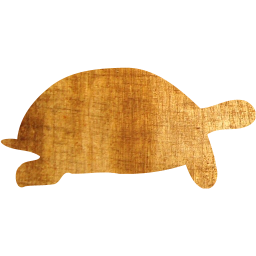 tortoise icon