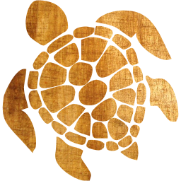 turtle icon