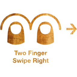 two finger swipe right 2 icon