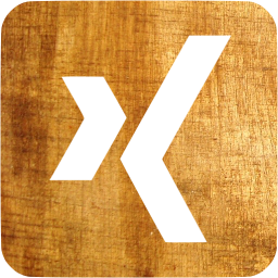 xing 3 icon