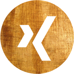 xing 4 icon