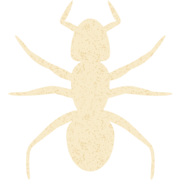 ant 3 icon