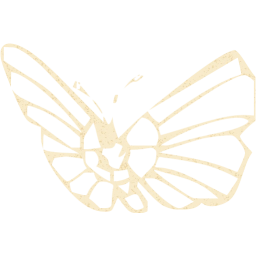 butterfly 2 icon