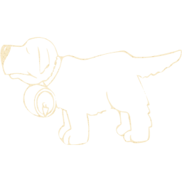 dog 18 icon