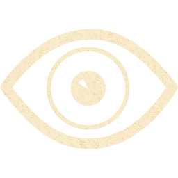 eye 4 icon