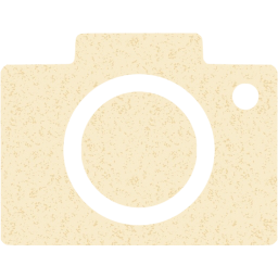 google images icon