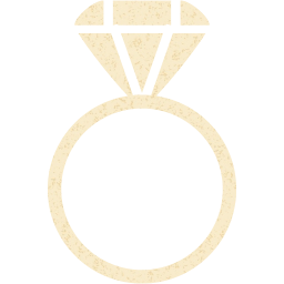 ring 2 icon