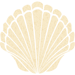 seashell 2 icon