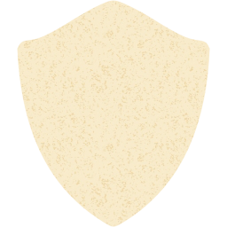 shield icon