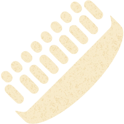 shoe brush icon