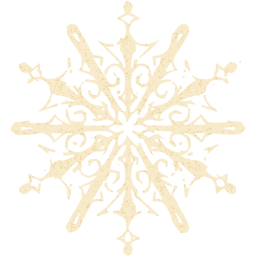 snowflake 10 icon