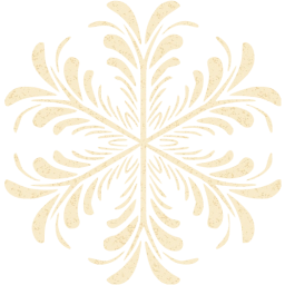 snowflake 17 icon