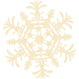 snowflake 25 icon