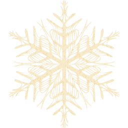 snowflake 37 icon