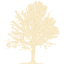 tree 18