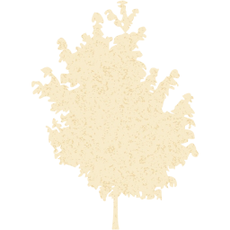 tree 25 icon