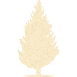 tree 55 icon