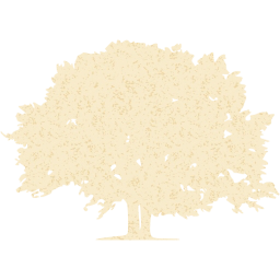 tree 78 icon