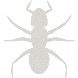 ant 3 icon