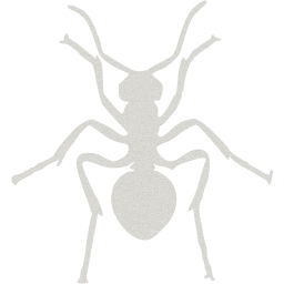 ant icon