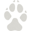 footprints dog