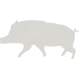 pig 10 icon