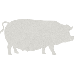 pig 3 icon