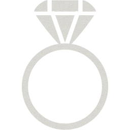 ring 2 icon