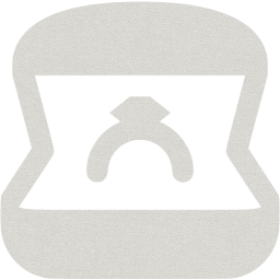 ring icon