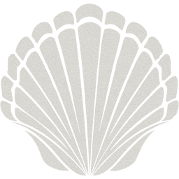 seashell 2 icon