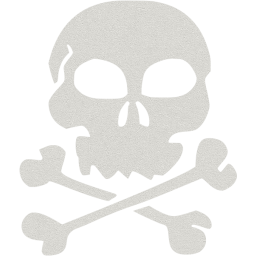 skull 22 icon