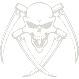 skull 30 icon