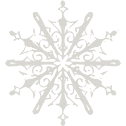 snowflake 10 icon