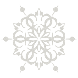 snowflake 13 icon