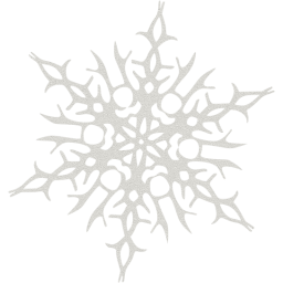 snowflake 14 icon