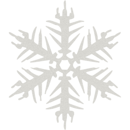 snowflake 16 icon