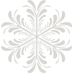 snowflake 17 icon