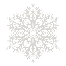 snowflake 22 icon